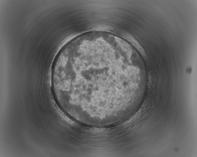 X0000097601036200803280946