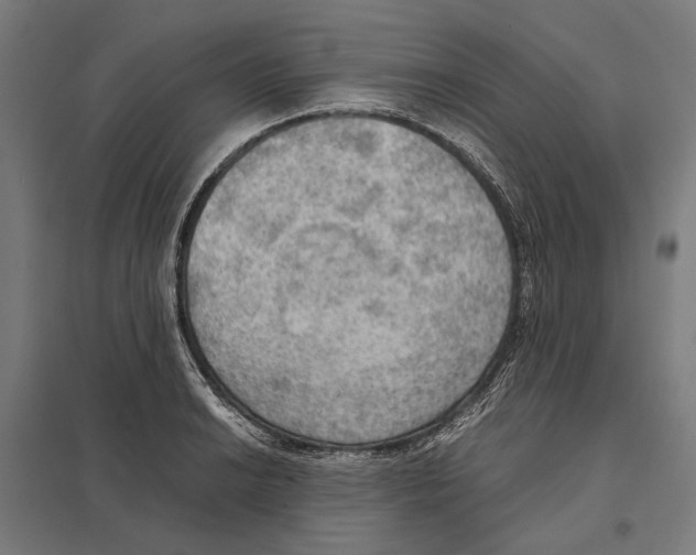 X0000097601038200803280946