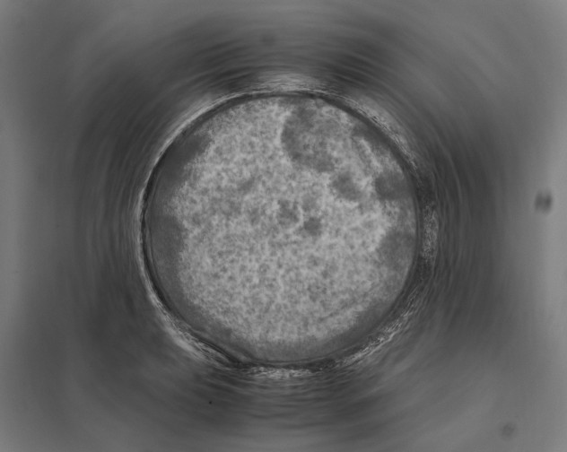 X0000097601039200803280946