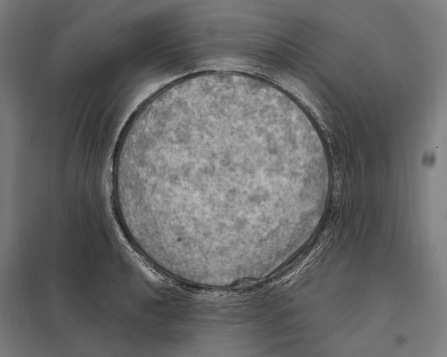 X0000097601040200803280946