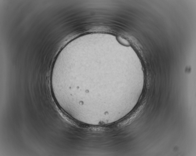 X0000097601041200803280946