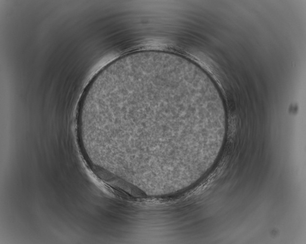 X0000097601042200803280946