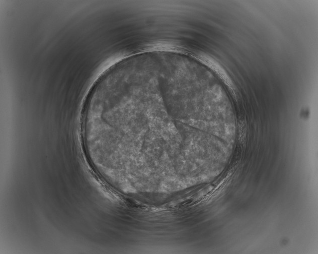 X0000097601043200803280946