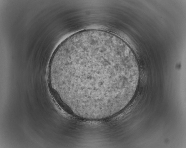 X0000097601044200803280946