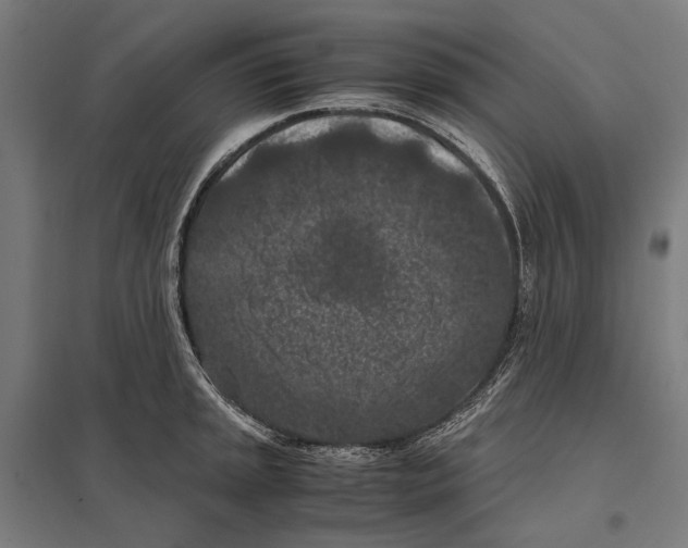 X0000097601045200803280946