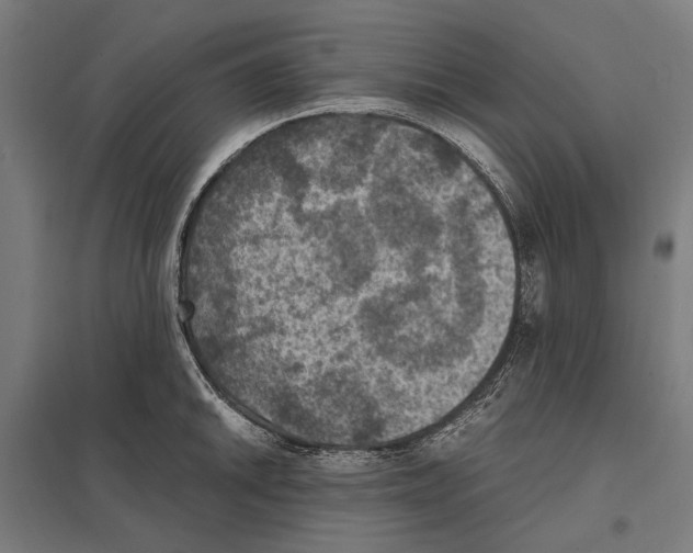 X0000097601046200803280946