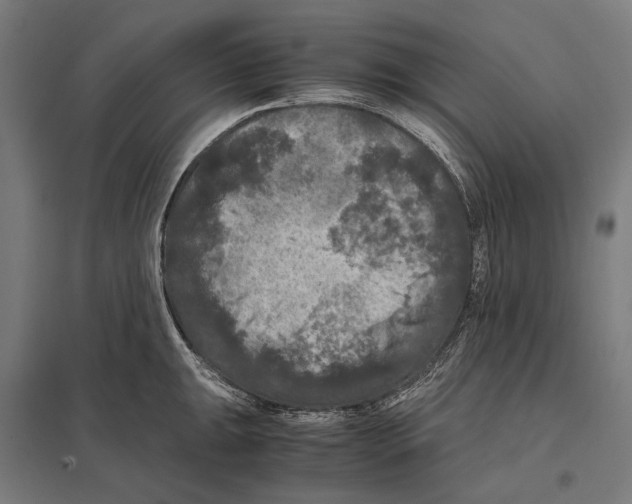 X0000097601047200803280946