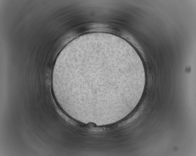 X0000097601049200803280946