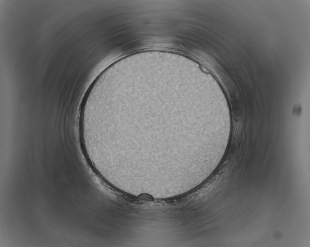 X0000097601050200803280946