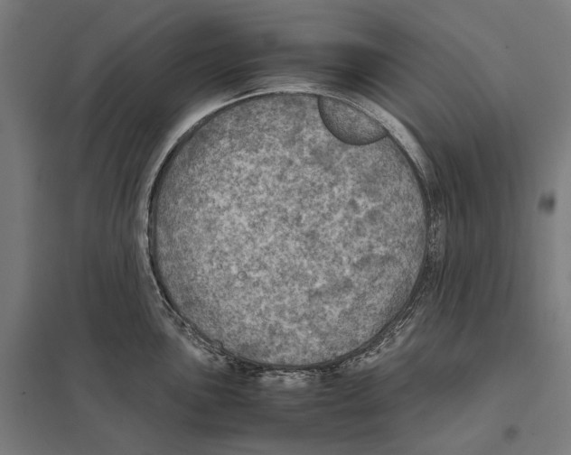 X0000097601051200803280946