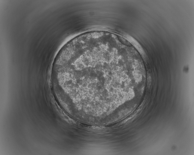 X0000097601052200803280946