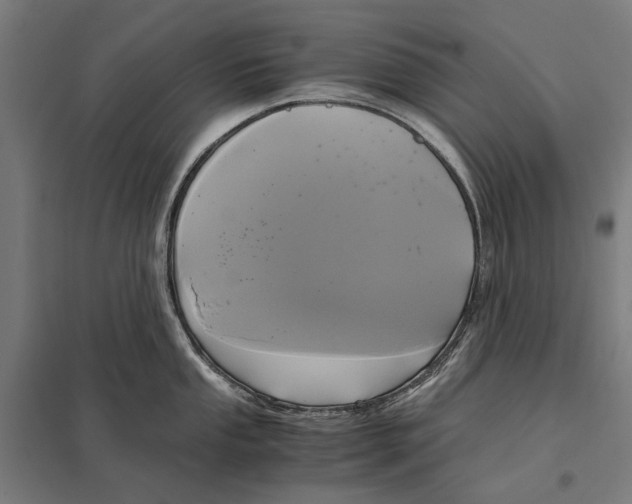 X0000097601053200803280946