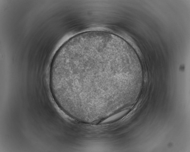 X0000097601054200803280946