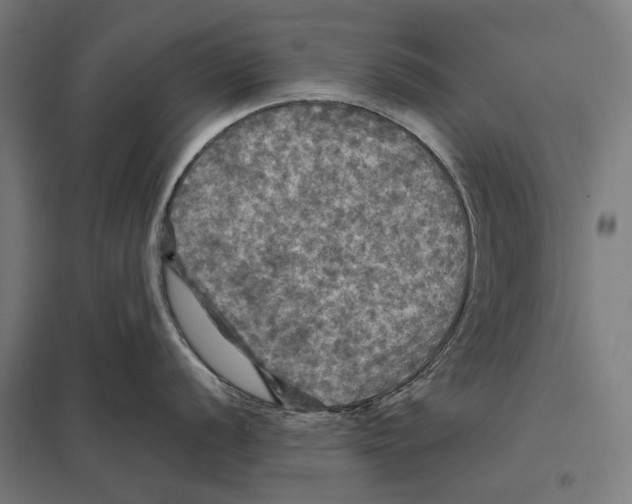 X0000097601056200803280946