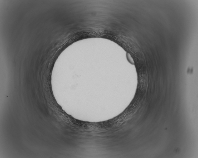 X0000097601057200803280945