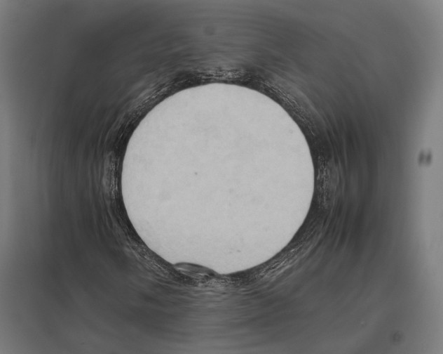 X0000097601058200803280945