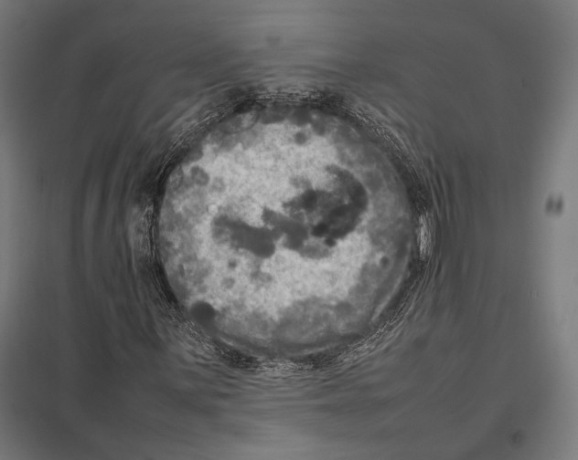 X0000097601059200803280945