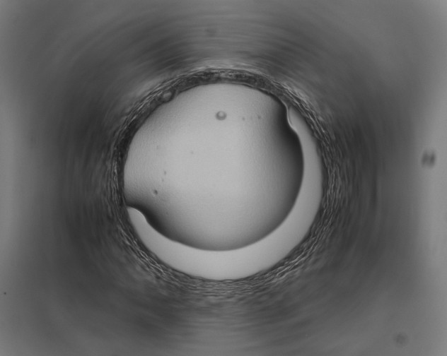 X0000097601062200803280945