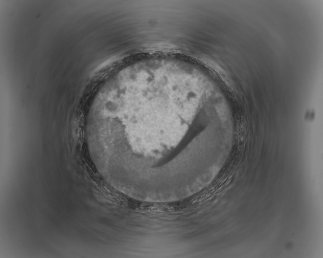 X0000097601063200803280945