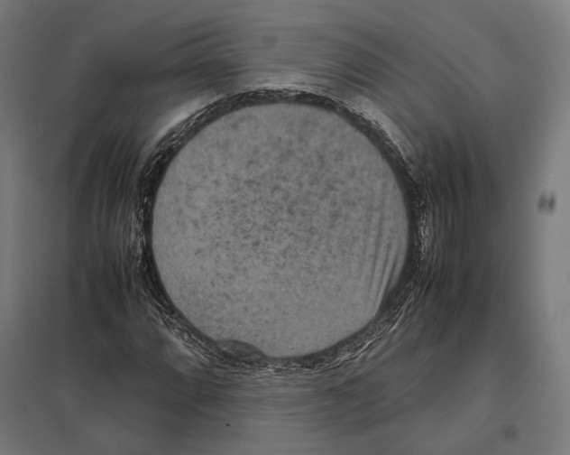 X0000097601064200803280945