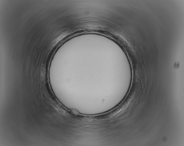 X0000097601065200803280945