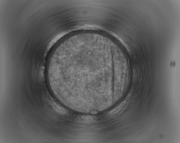 X0000097601066200803280945