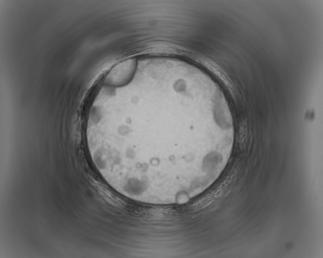 X0000097601067200803280945