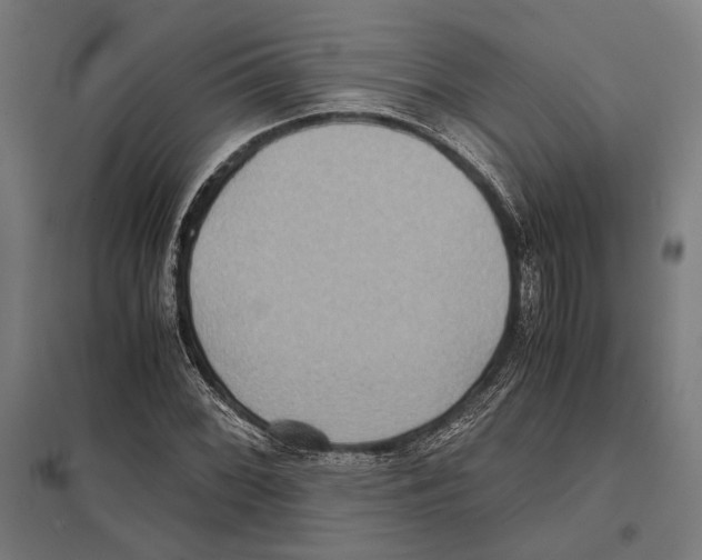 X0000097601068200803280945