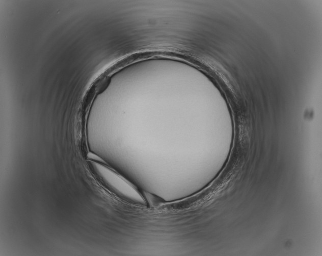 X0000097601069200803280945