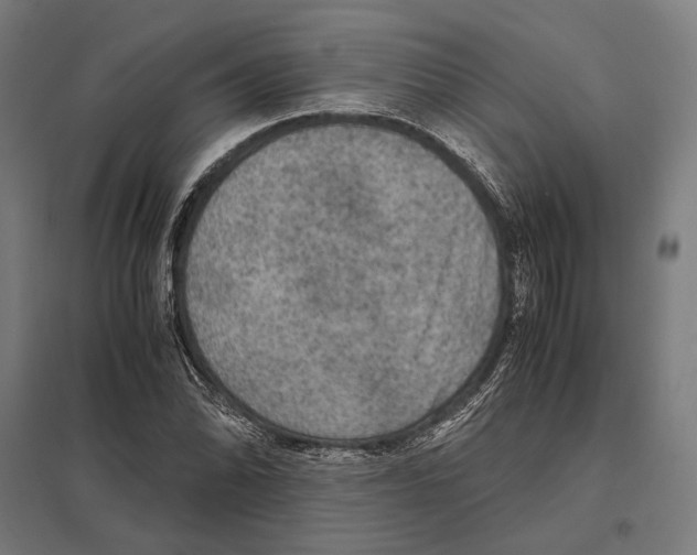 X0000097601070200803280945