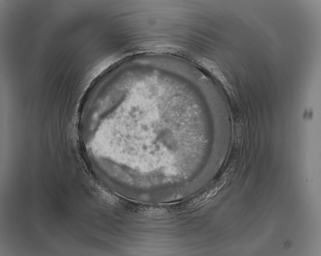 X0000097601071200803280945