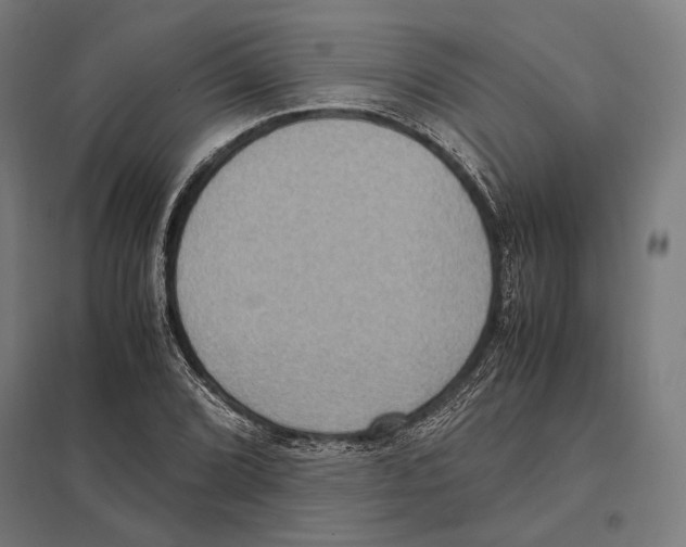 X0000097601072200803280945