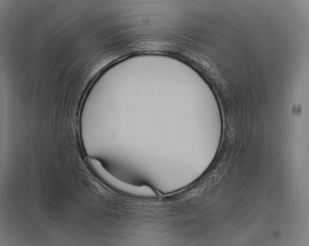 X0000097601073200803280945