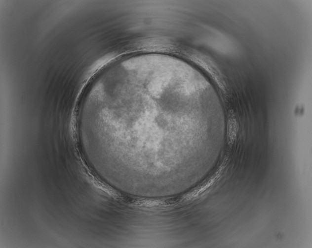 X0000097601074200803280945