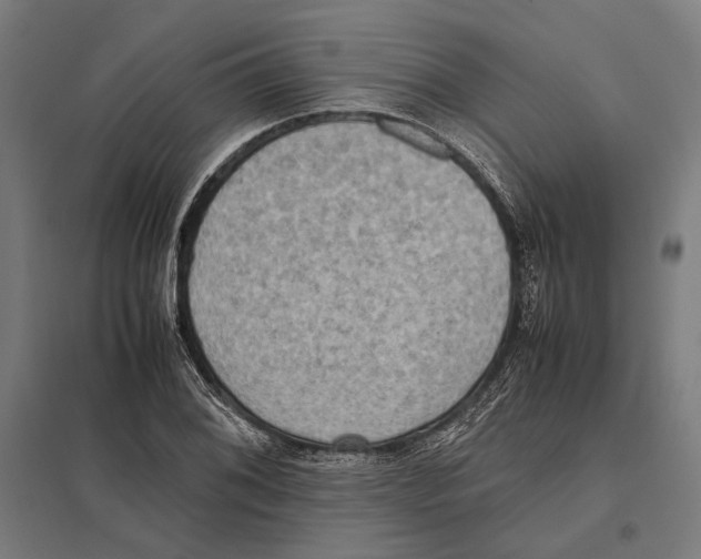 X0000097601076200803280945