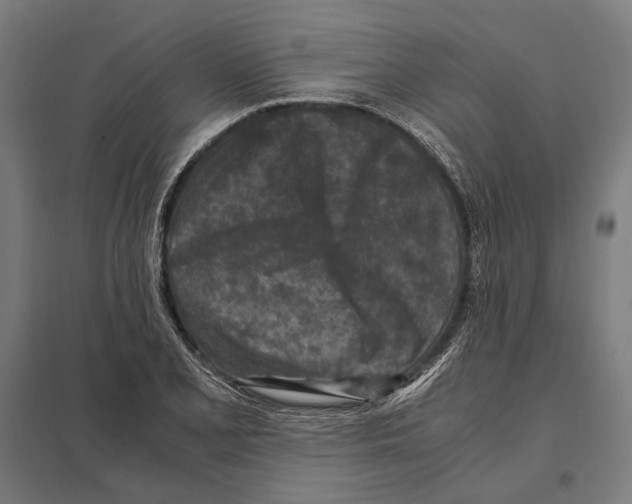 X0000097601077200803280945