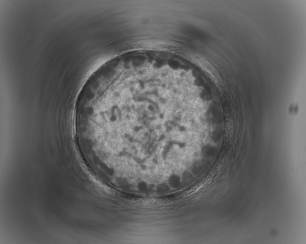 X0000097601079200803280945