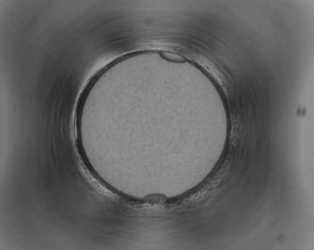 X0000097601080200803280945