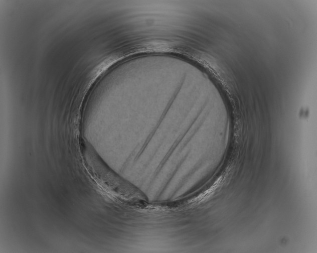 X0000097601081200803280945