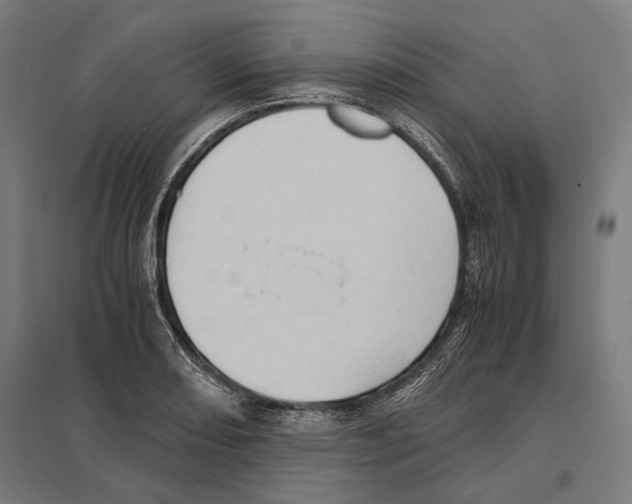 X0000097601082200803280945