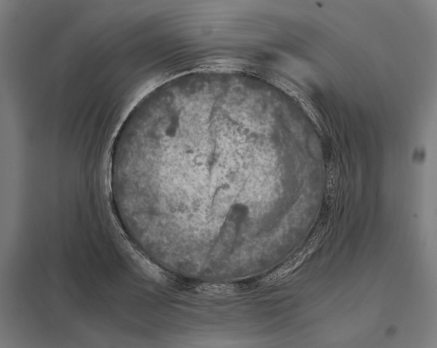 X0000097601083200803280945