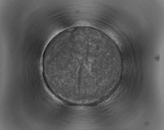 X0000097601084200803280945