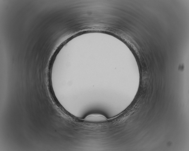 X0000097601085200803280945