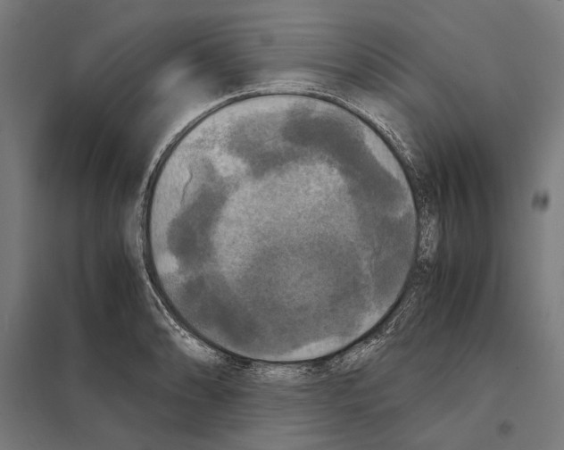 X0000097601086200803280945