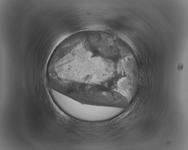 X0000097601087200803280945