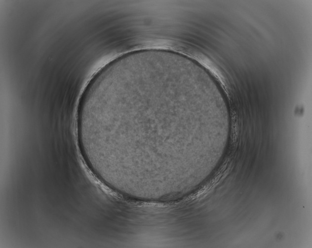 X0000097601088200803280945