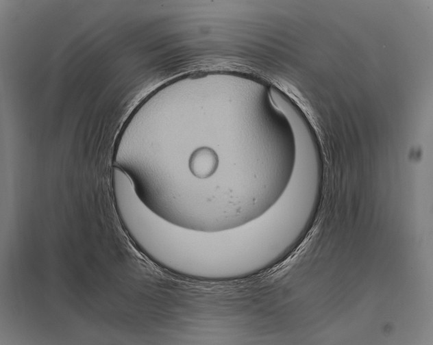 X0000097601089200803280945