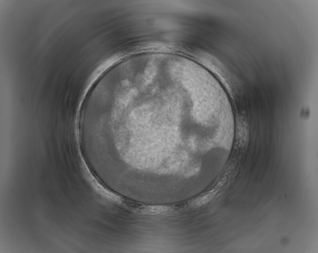 X0000097601090200803280945