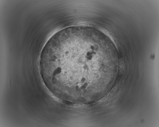 X0000097601091200803280945