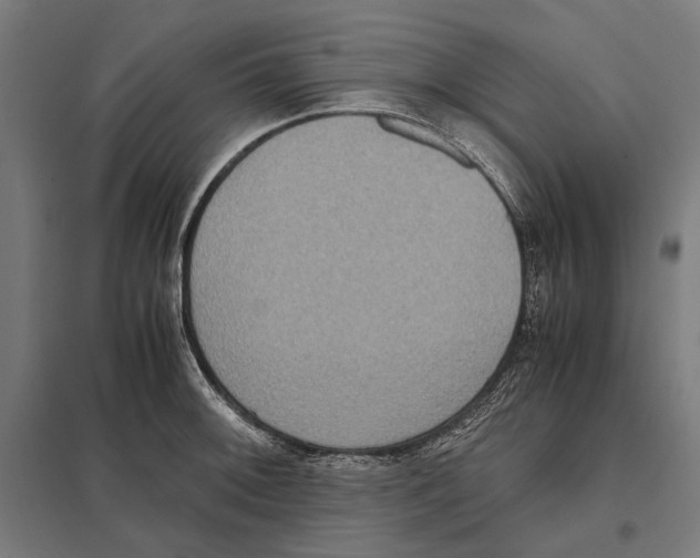 X0000097601092200803280945